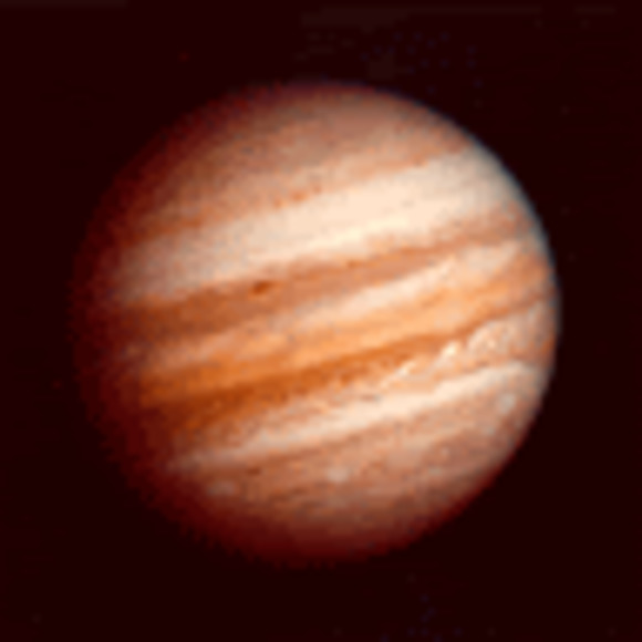 Meet your Posher, Jerusha - Picture 1 of 1